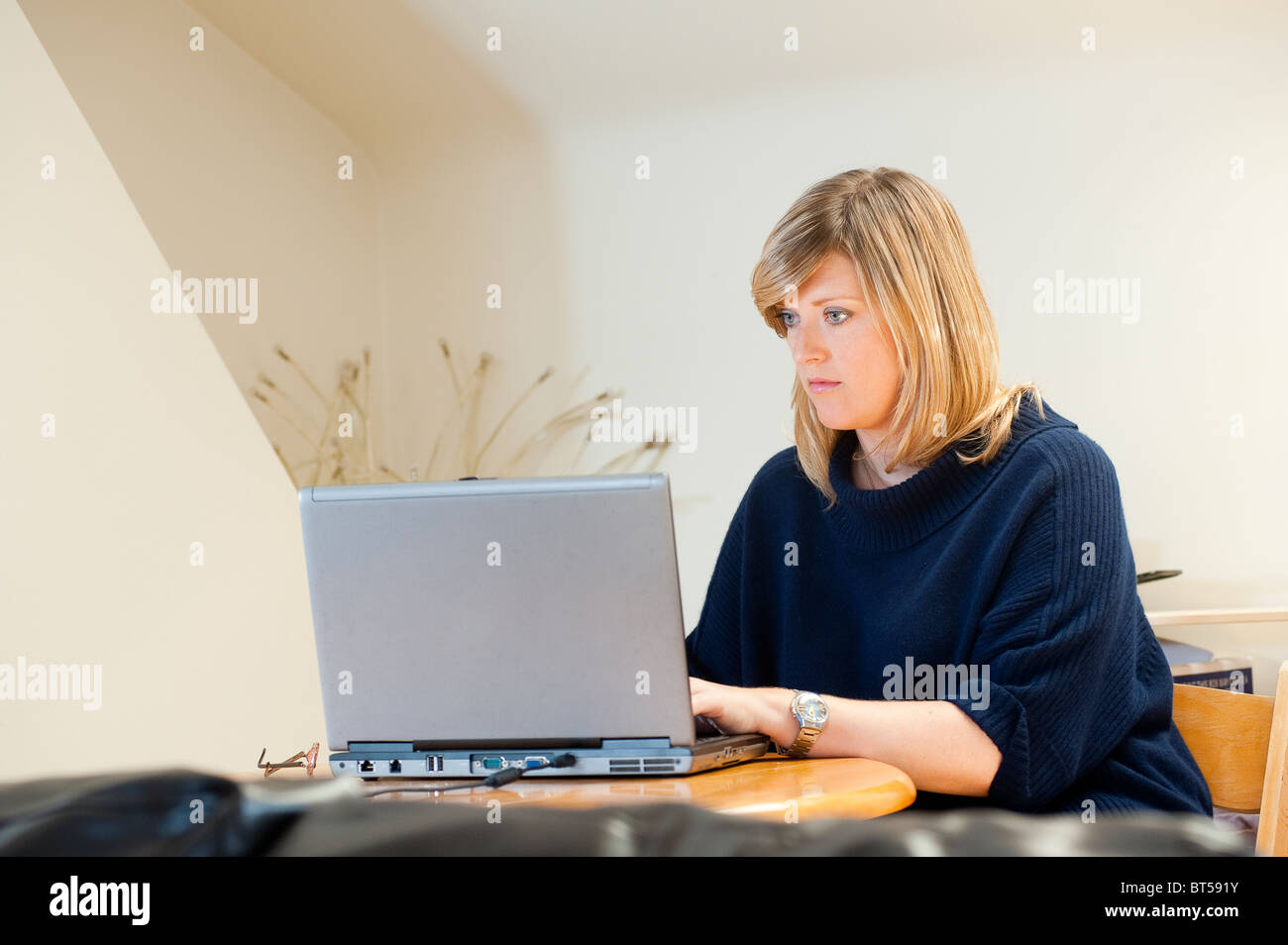 Pretty young woman using a laptop computer Stock Photo - Alamy