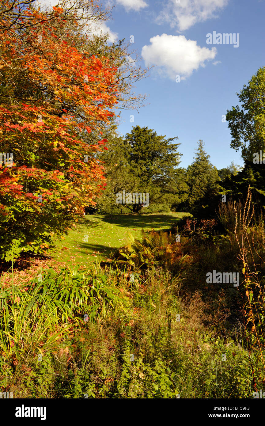 autumnal foliage on display in exbury gardens new forest england uk Stock Photo