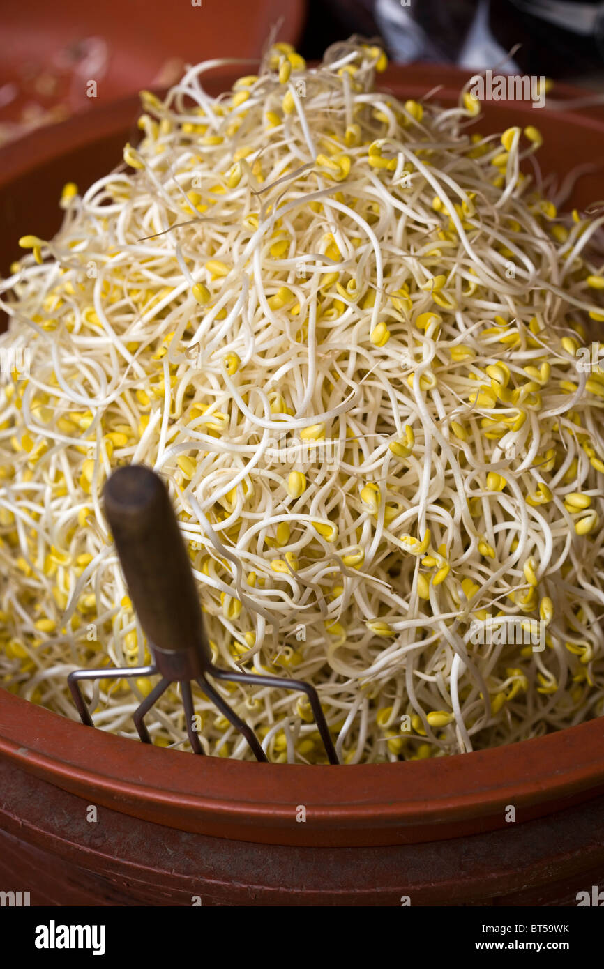 Bean Sprouts Stock Photo