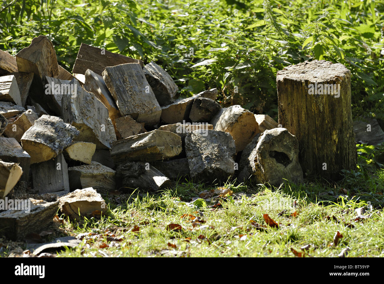 Wood chopping block with firewood Stock Photo