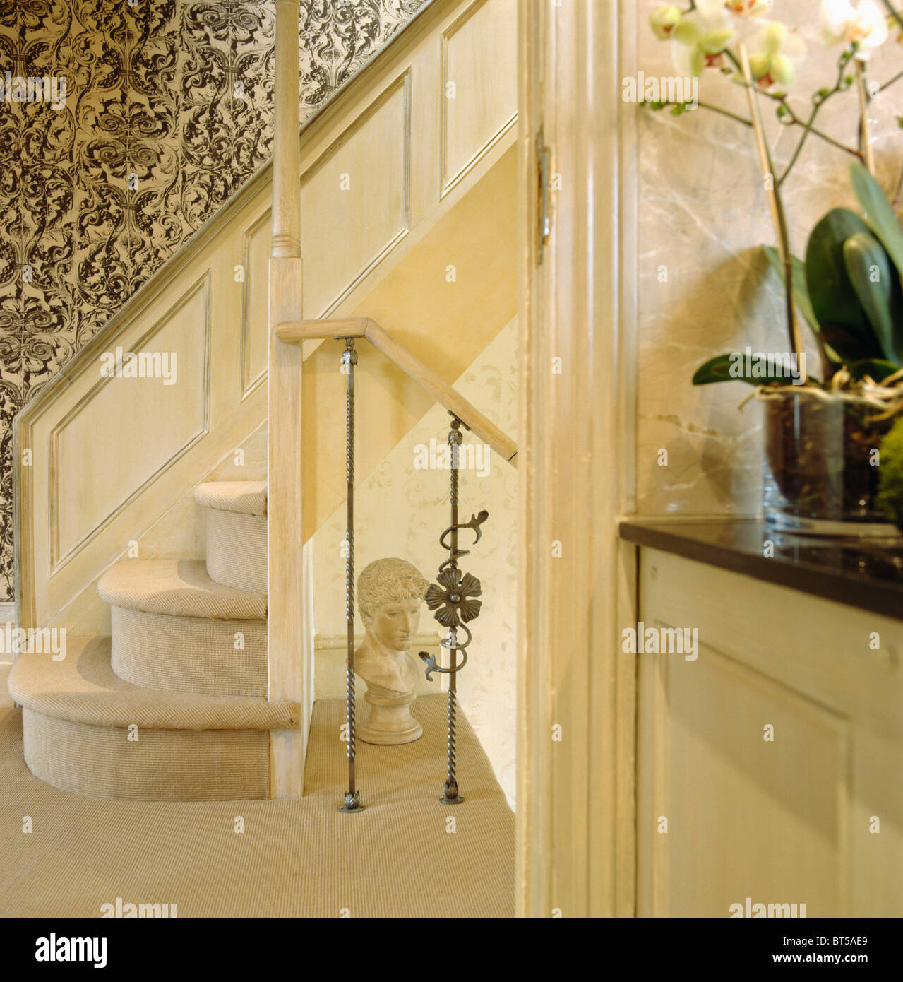 White orchid in pot on cupboard in traditional cream hall with cream