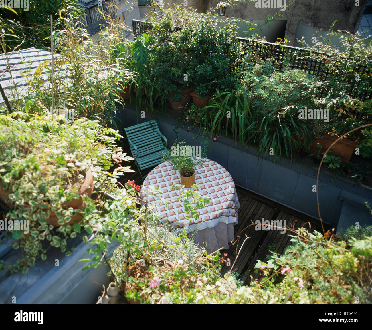 Looking down on seating area on decked roof terrace surrounded with shrubs, perennials and bamboo in pots. Stock Photo