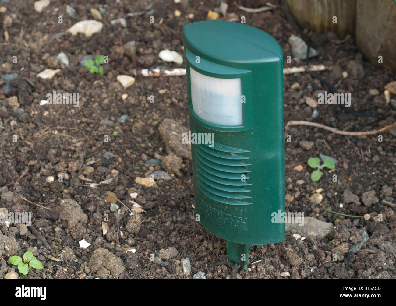 Do Ultrasonic Cat Deterrents Work? Cat Repellent Expert, 41 OFF