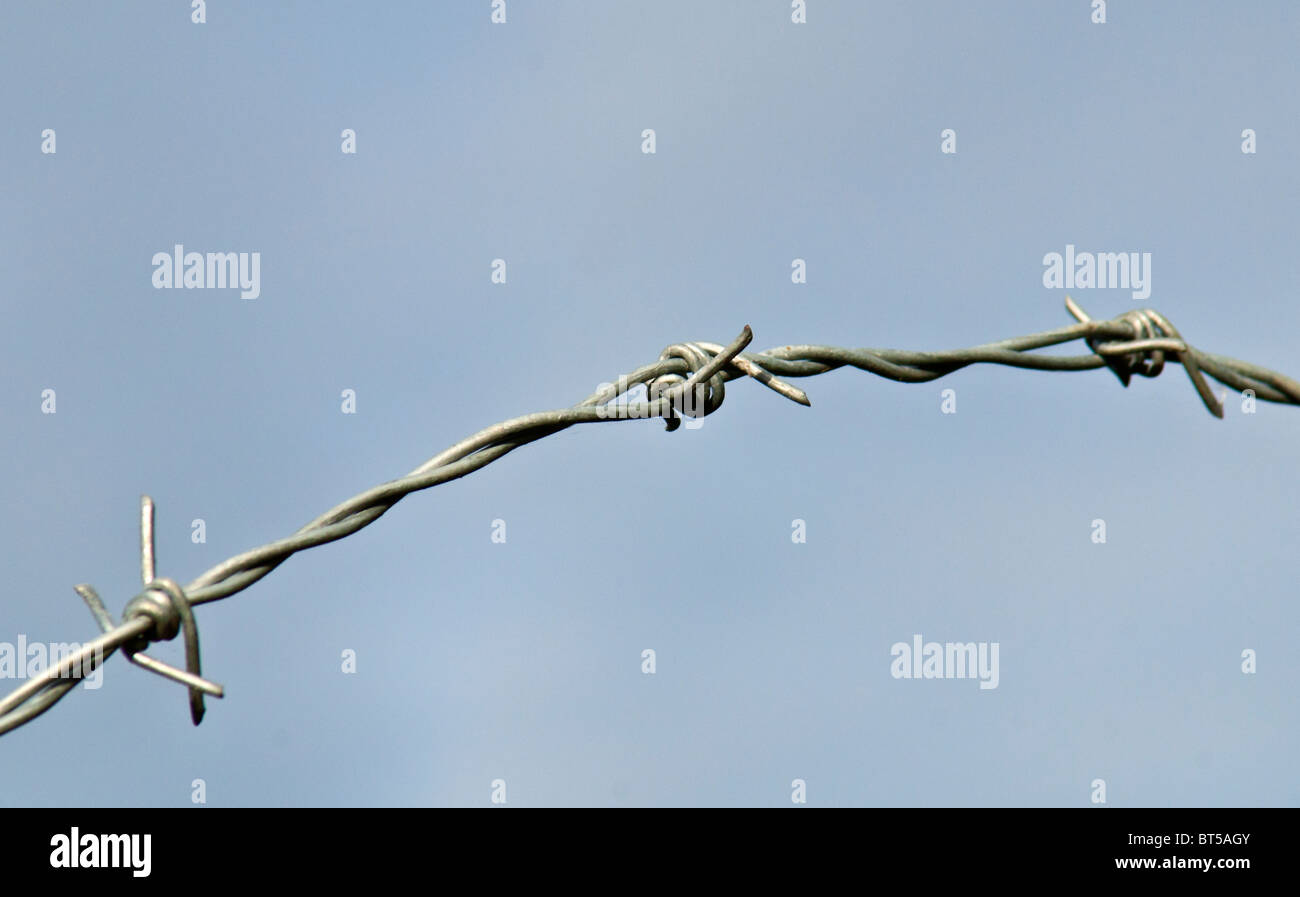 Barbed Wire Stock Photo