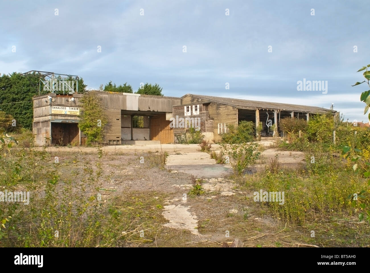 Brackley Wood Yard Stock Photo