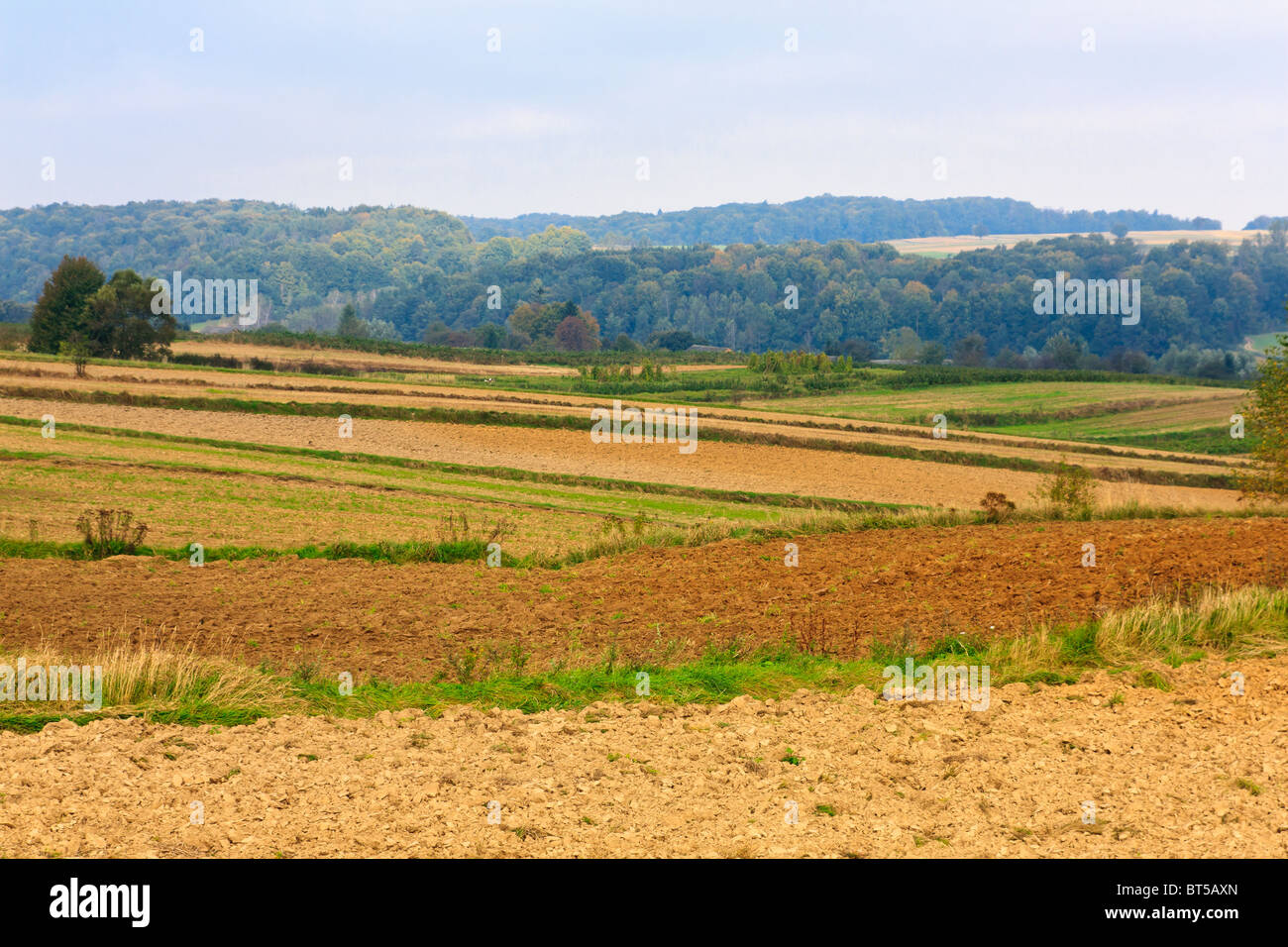 Sun blue sky clouds trees field hi-res stock photography and images - Alamy