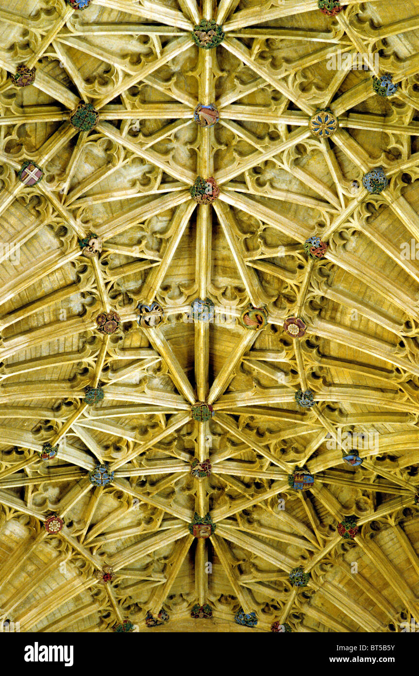 Sherborne Abbey, Dorset. Fan vaulting, choir, detail of English medieval roof vault boss bosses England UK abbeys interior Stock Photo