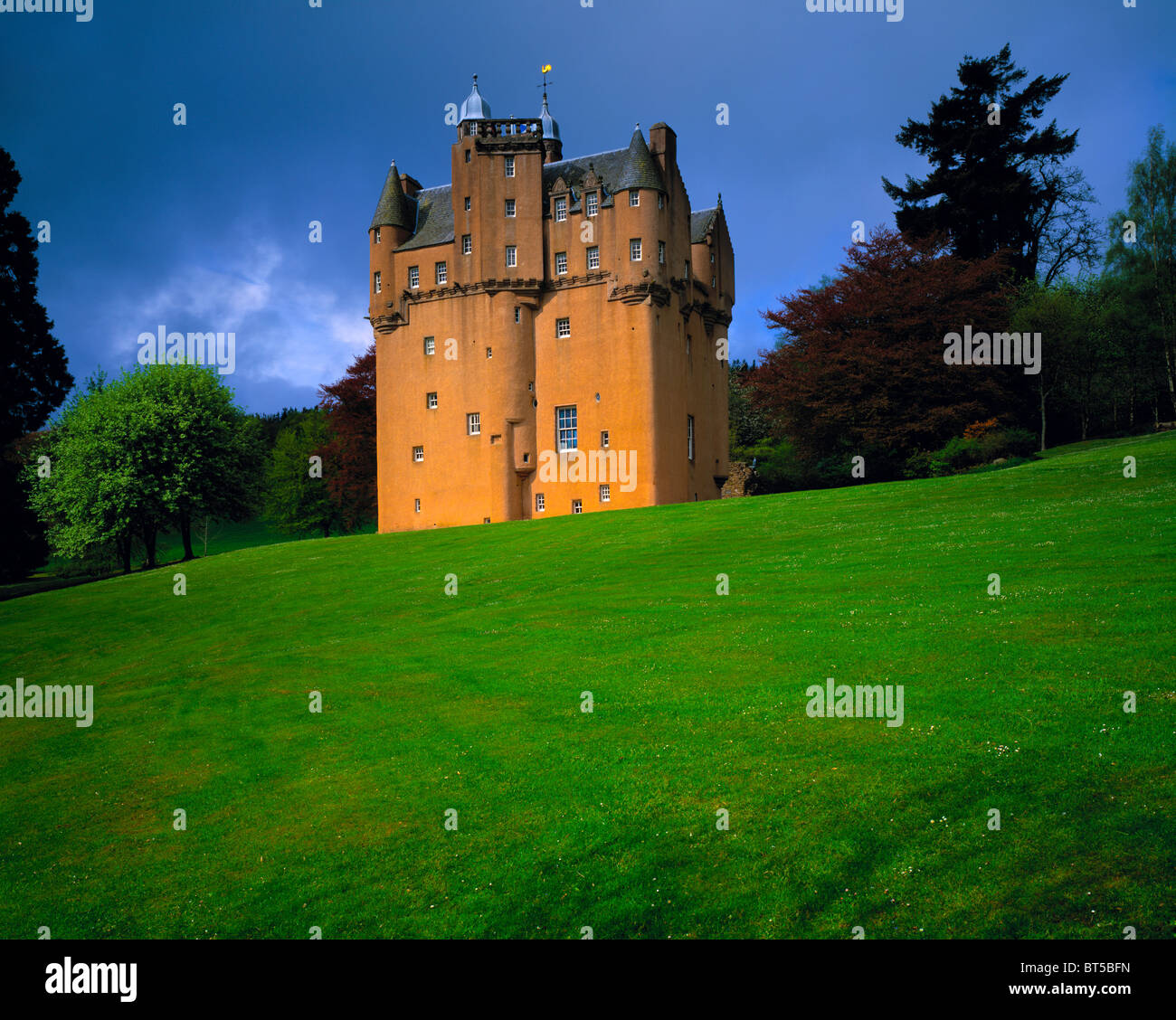 My Image 22
