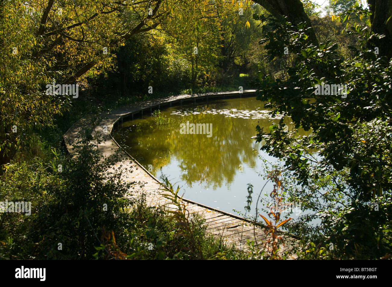 Fishing pool at Daisy Nook Country Park, Failsworth, Manchester, UK Stock Photo