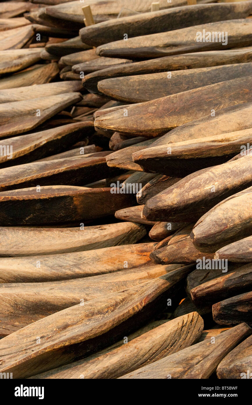 Katsuobushi, or dried, fermented and smoked skipjack tuna, also known as bonito fish, in market