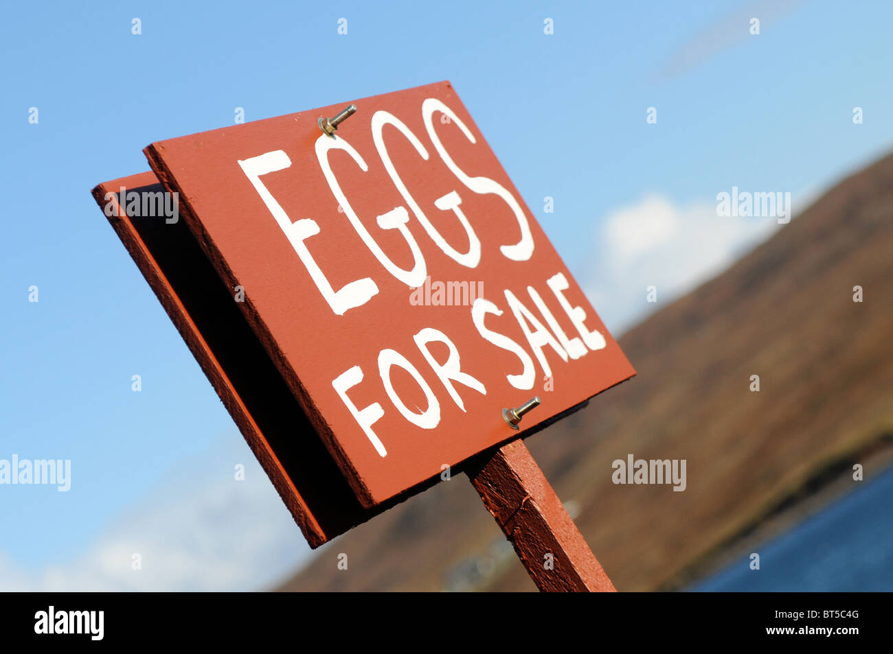 Eggs For Sale Sign Stock Photo Alamy
