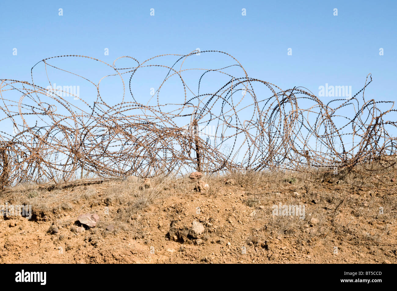 Barbed wire fence Stock Photo