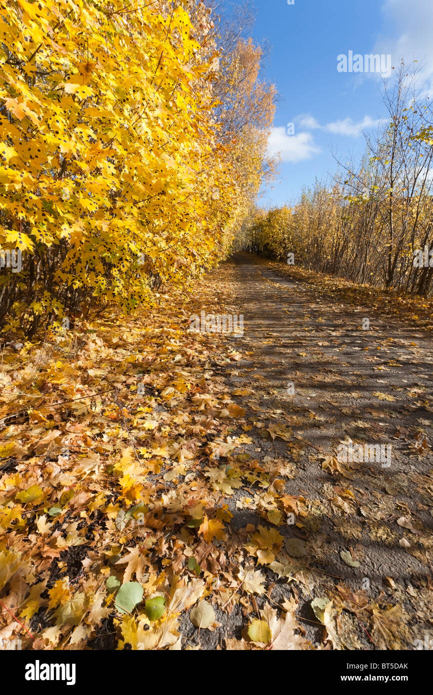 autumn scenery, Finland Stock Photo