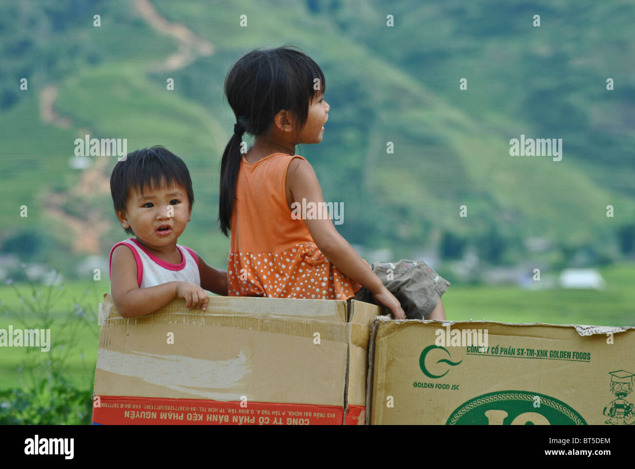 Young vietnamese children in a cardboard box near Sapa, Vietnam Stock Photo