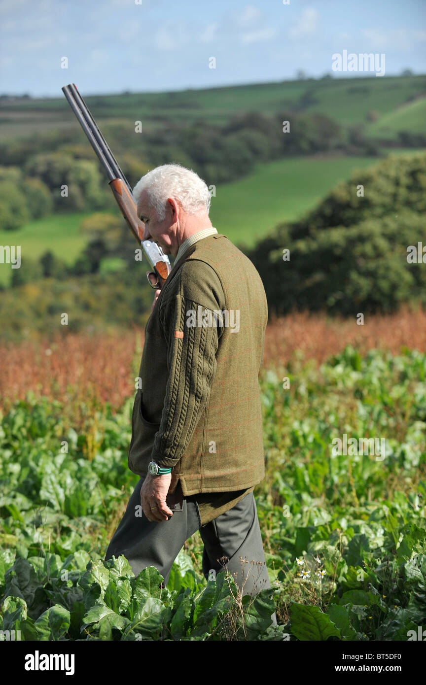 man carrying shotgun in kale field on a pheasant shoot Stock Photo