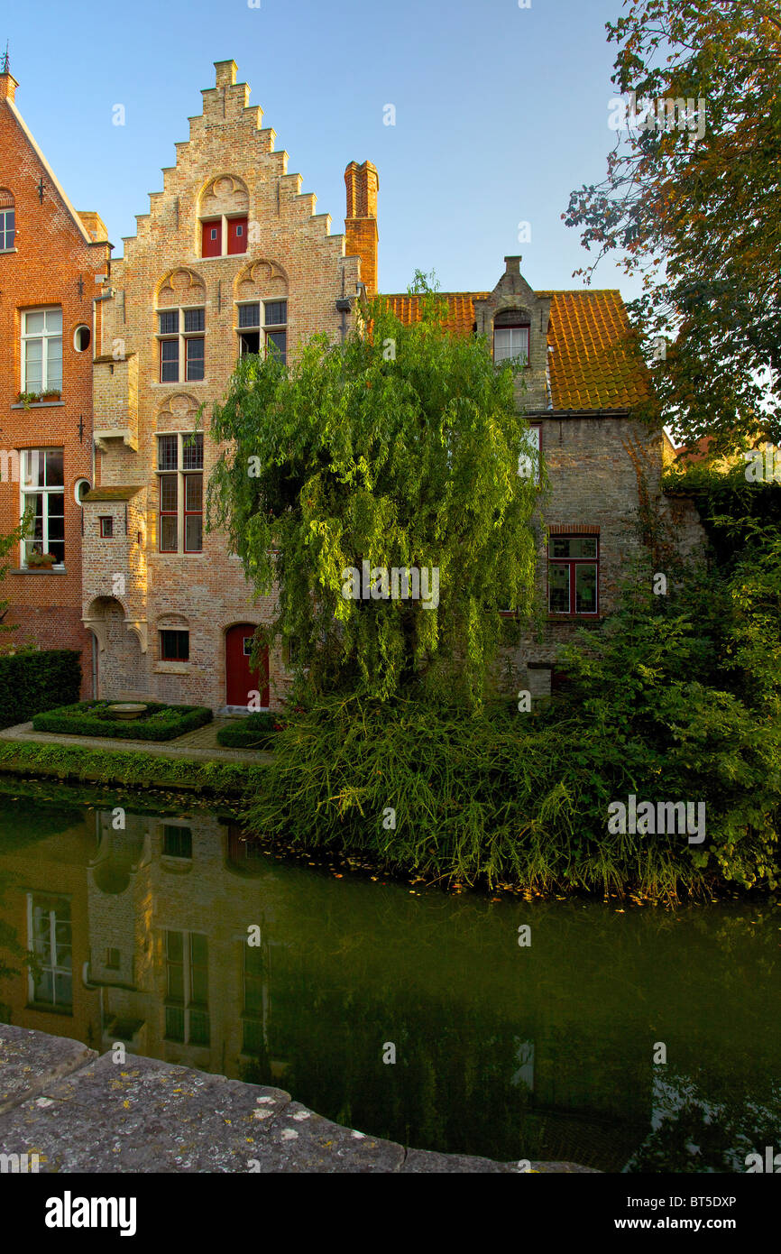 Autumn leaves on a canal in Bruges Stock Photo