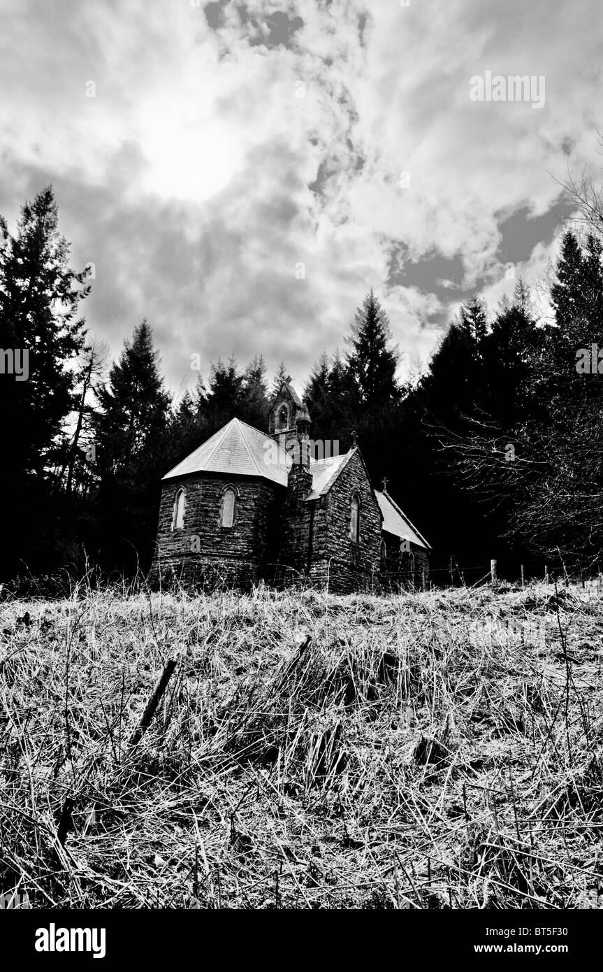 Gothic trees Black and White Stock Photos & Images - Alamy