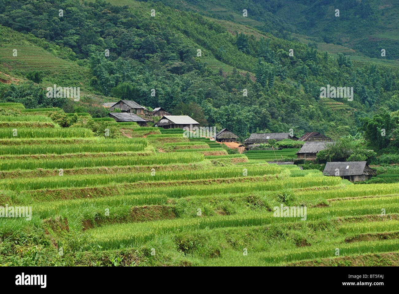Rural village and terraced rice paddies near Sapa, Vietnam Stock Photo