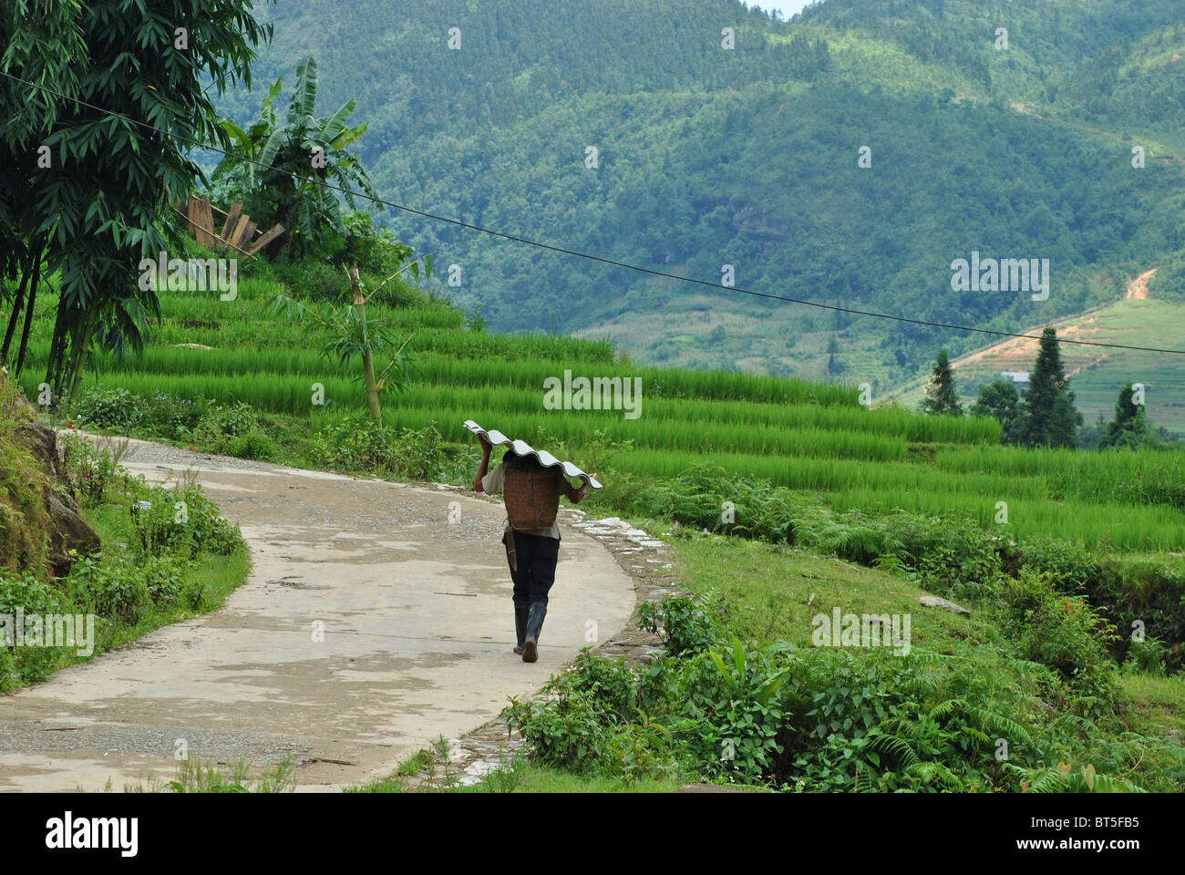 Man carrying corrugated asbestos in the mountains near Sapa, Vietnam Stock Photo