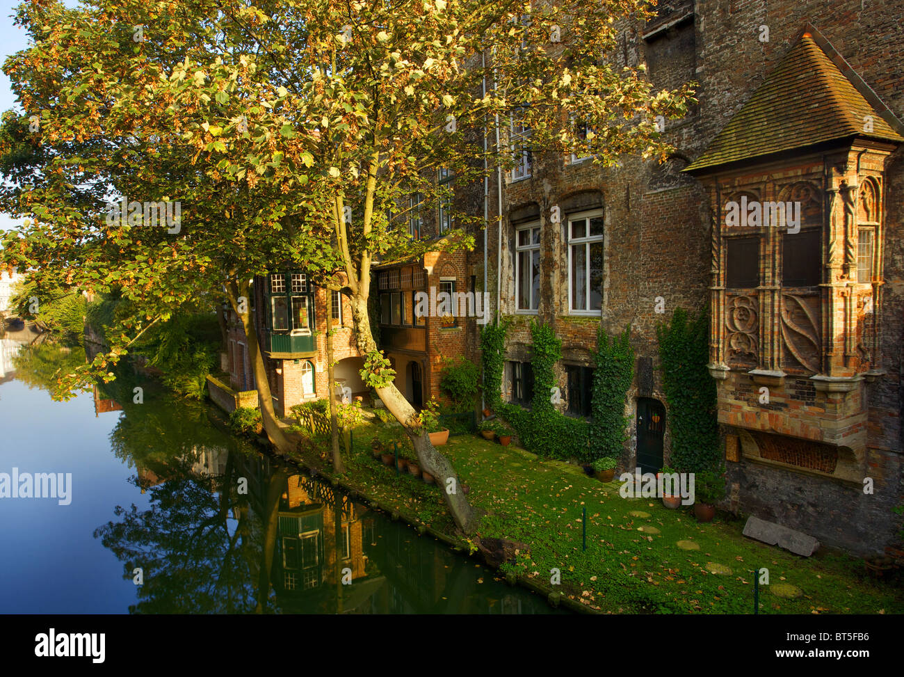 Autumn leaves in Bruges Stock Photo