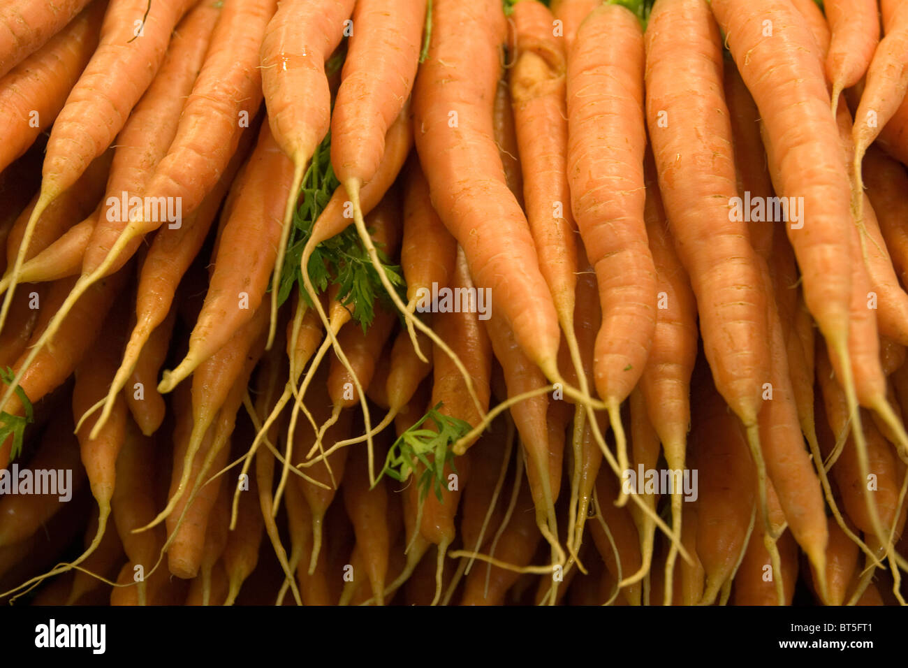 Fresh carrots Granville Island Public Market Vancouver Stock Photo Alamy