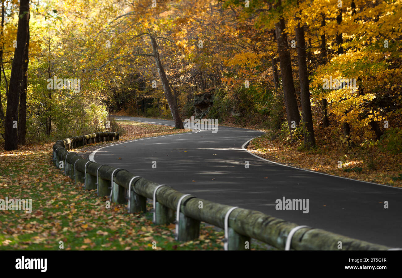 Winding forest road cutting hi-res stock photography and images - Alamy