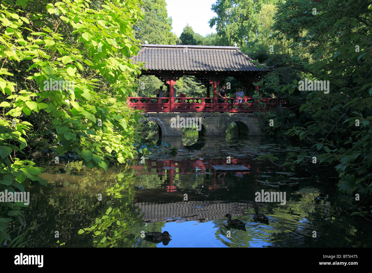 Japanischer Garten im Chemiepark der Bayer AG in Leverkusen, Rhein, Nordrhein-Westfalen Stock Photo