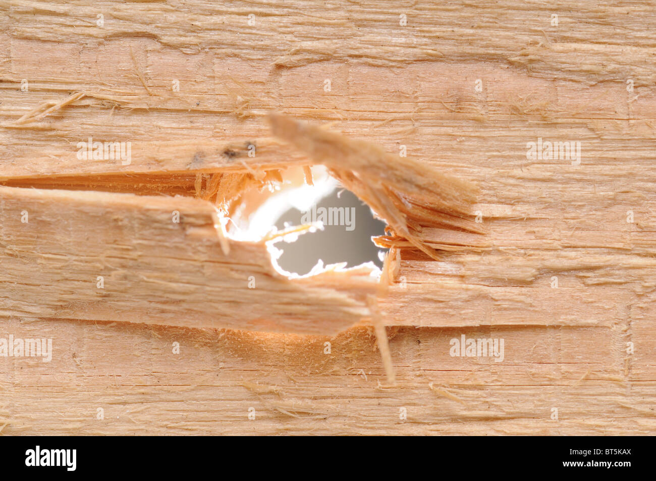 Detail of a backlit hole in a wooden board. Stock Photo