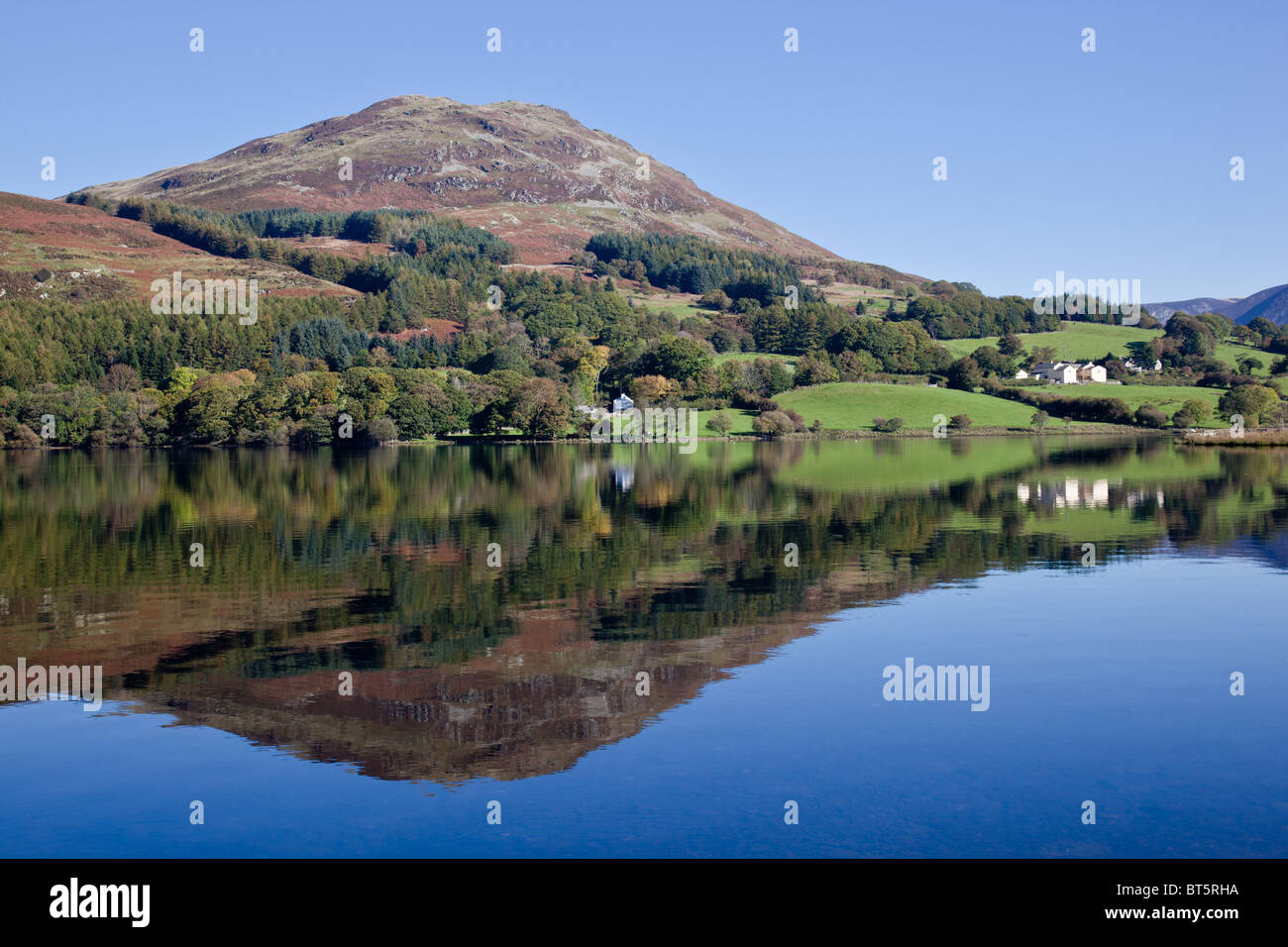 lowes at the district