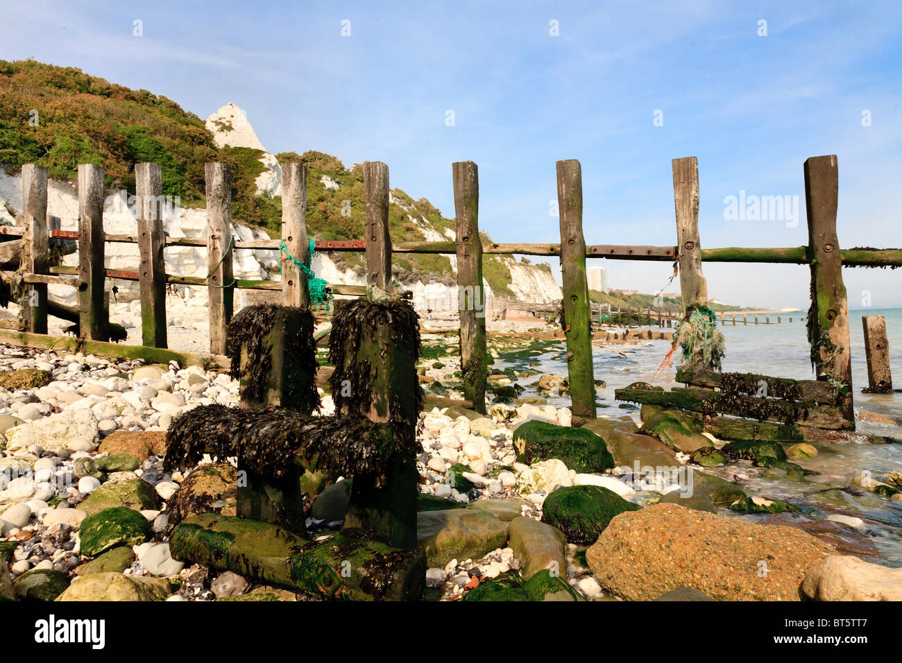 Delapidated groynes on the beach at Holywell, Eastbourne Stock Photo