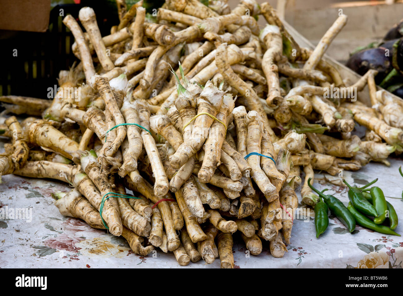Horse-radish roots for sale at Sigishoara fruit and vegetable market, Transylvania, Romania Stock Photo