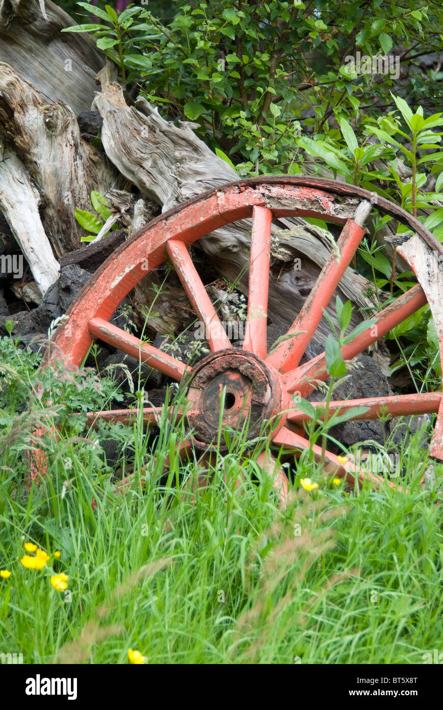 cart wheel aged, derelict field grass rotten rusty decay decayed ancient, antique, background, black, brown, carriage, cart, car Stock Photo