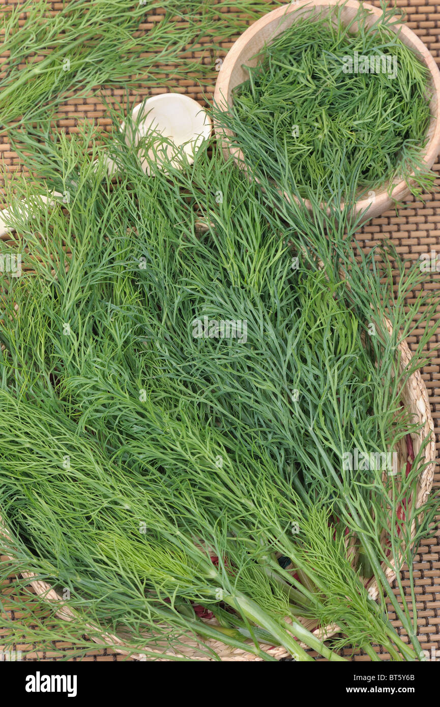 With dill hires stock photography and images Alamy