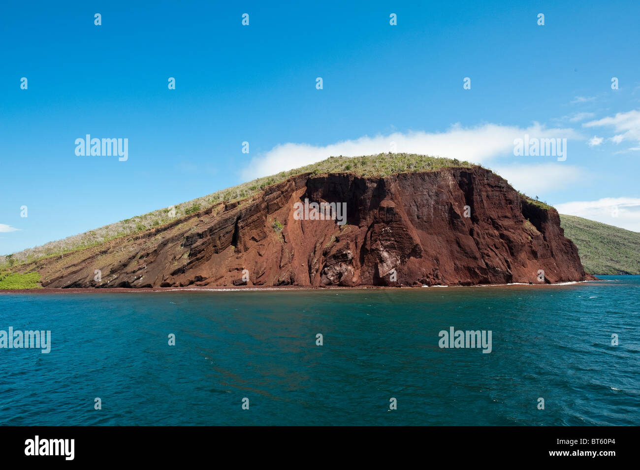 Galapagos Islands, Ecuador. Isla Rábida Island (also called Jervis ...