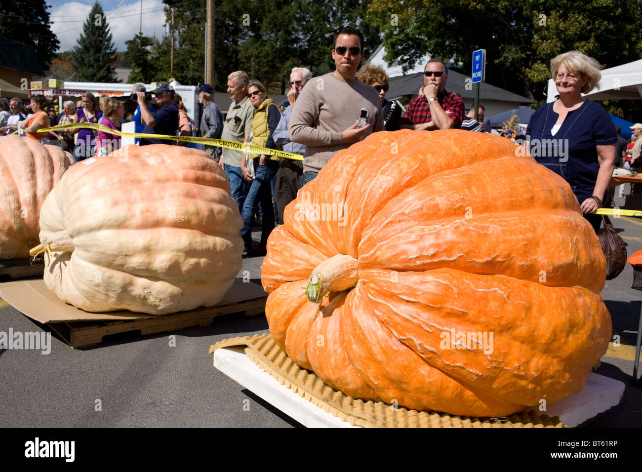 Giant pumpkins at Pumpkin Festival, Cooperstown, New York Stock Photo