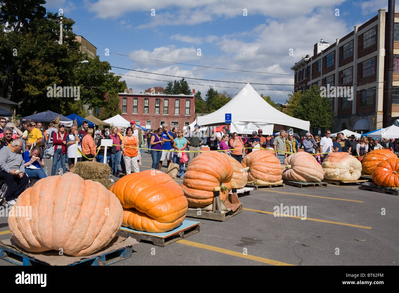 Giant pumpkins at Pumpkin Festival, Cooperstown, New York Stock Photo