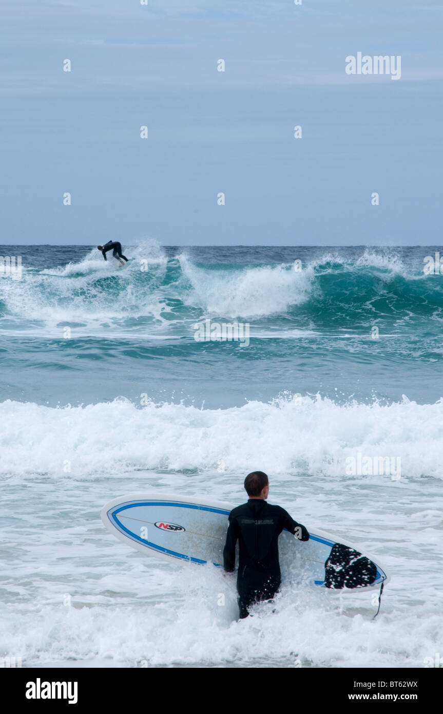 bondi beach sydney australia aussie surf surfer wave blue sea board walking out big wet suit Stock Photo