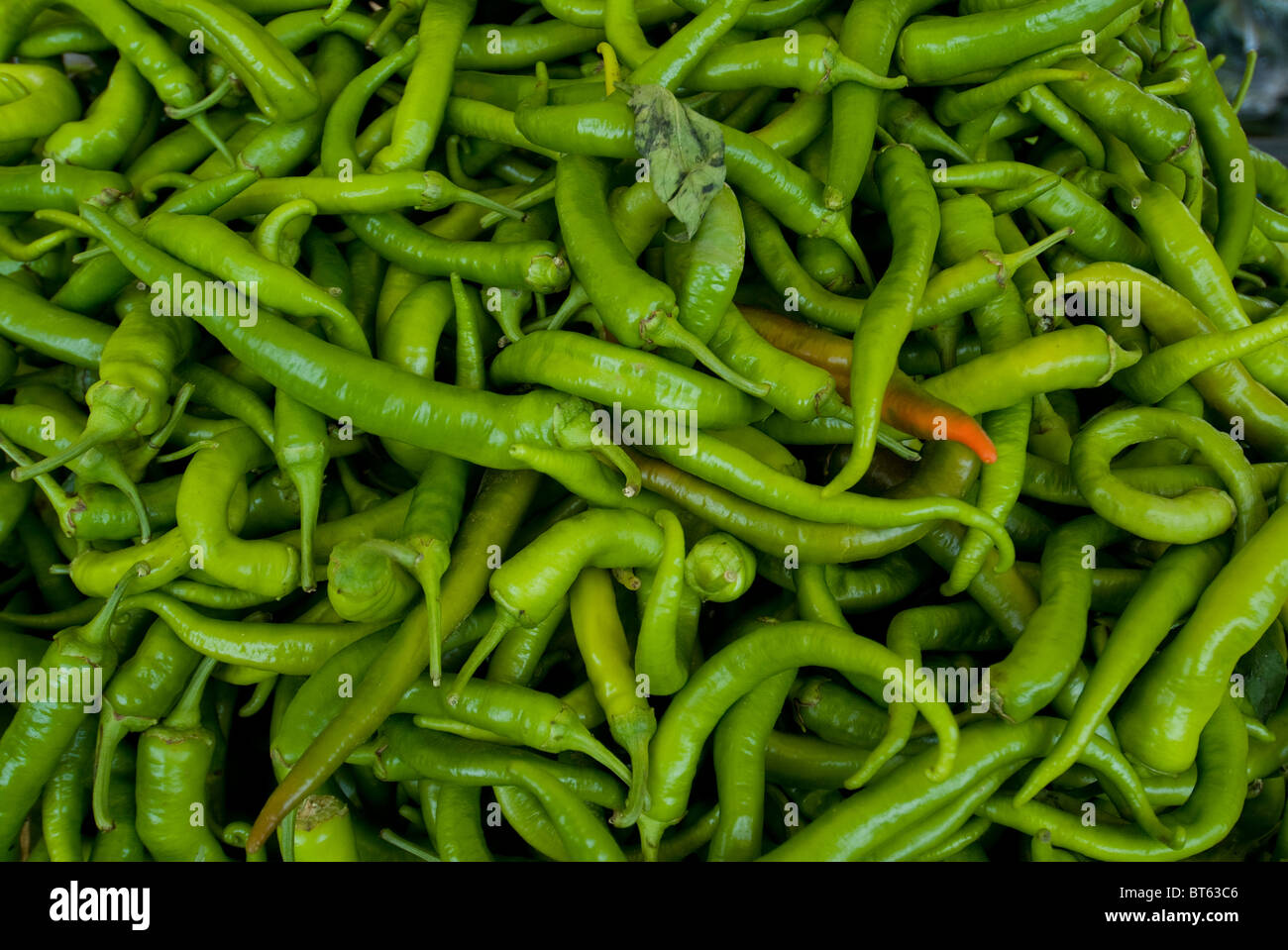 green chillie asian, background, burn, cayenne, chile, chili, chilies, chilli, chilly, close-up, closeup, color, cook, cooking, Stock Photo