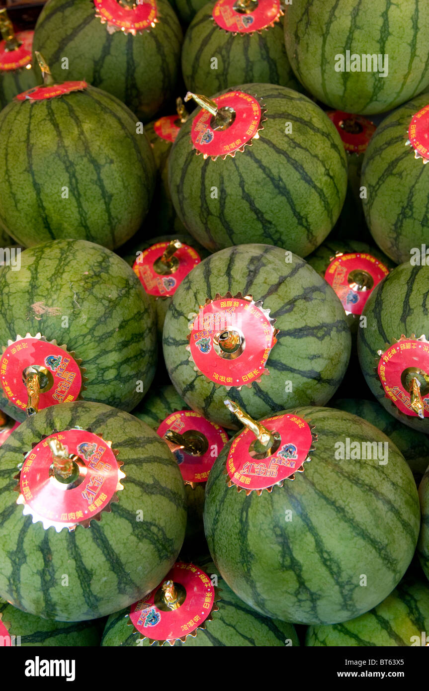Coast gourd hires stock photography and images Alamy
