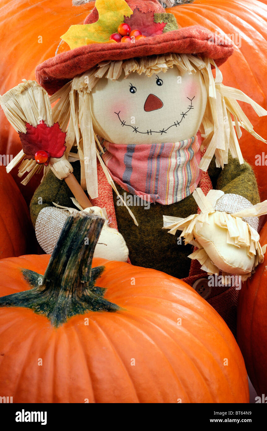 Decorative Scarecrow Surrounded By Pumpkins To Celebrate The Fall Thanksgiving Season Stock Photo