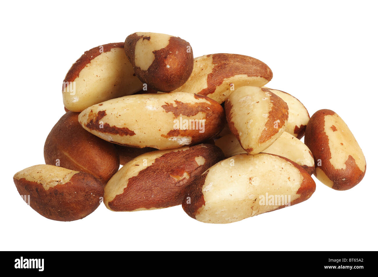 Brazil Nut (Bertholletia excelsa Stock Photo Alamy