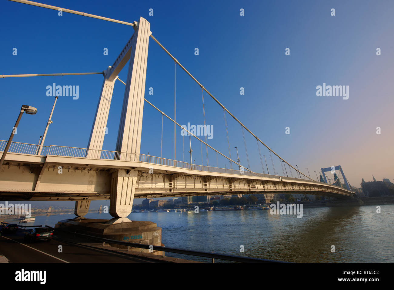 Elizabeth suspension bridge hires stock photography and images Alamy