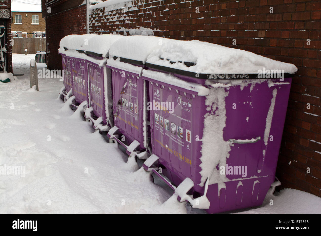 Purple Recycle Bins in the snow, Tower Hamlets London Stock Photo Alamy