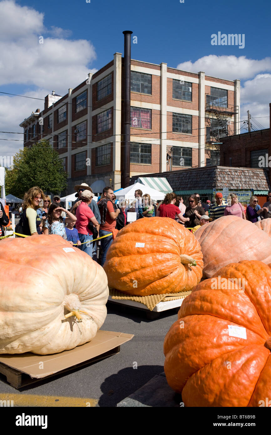 Giant pumpkins at Pumpkin Festival, Cooperstown, New York Stock Photo