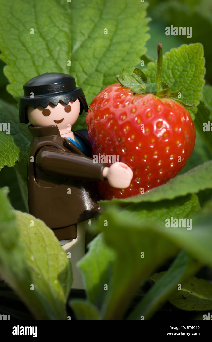 strawberry lego