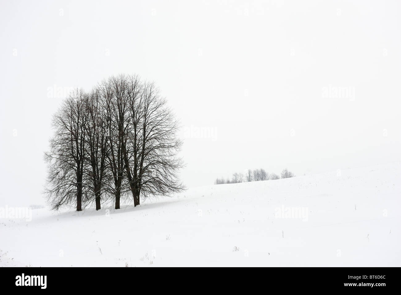 Cold landscape hi-res stock photography and images - Alamy