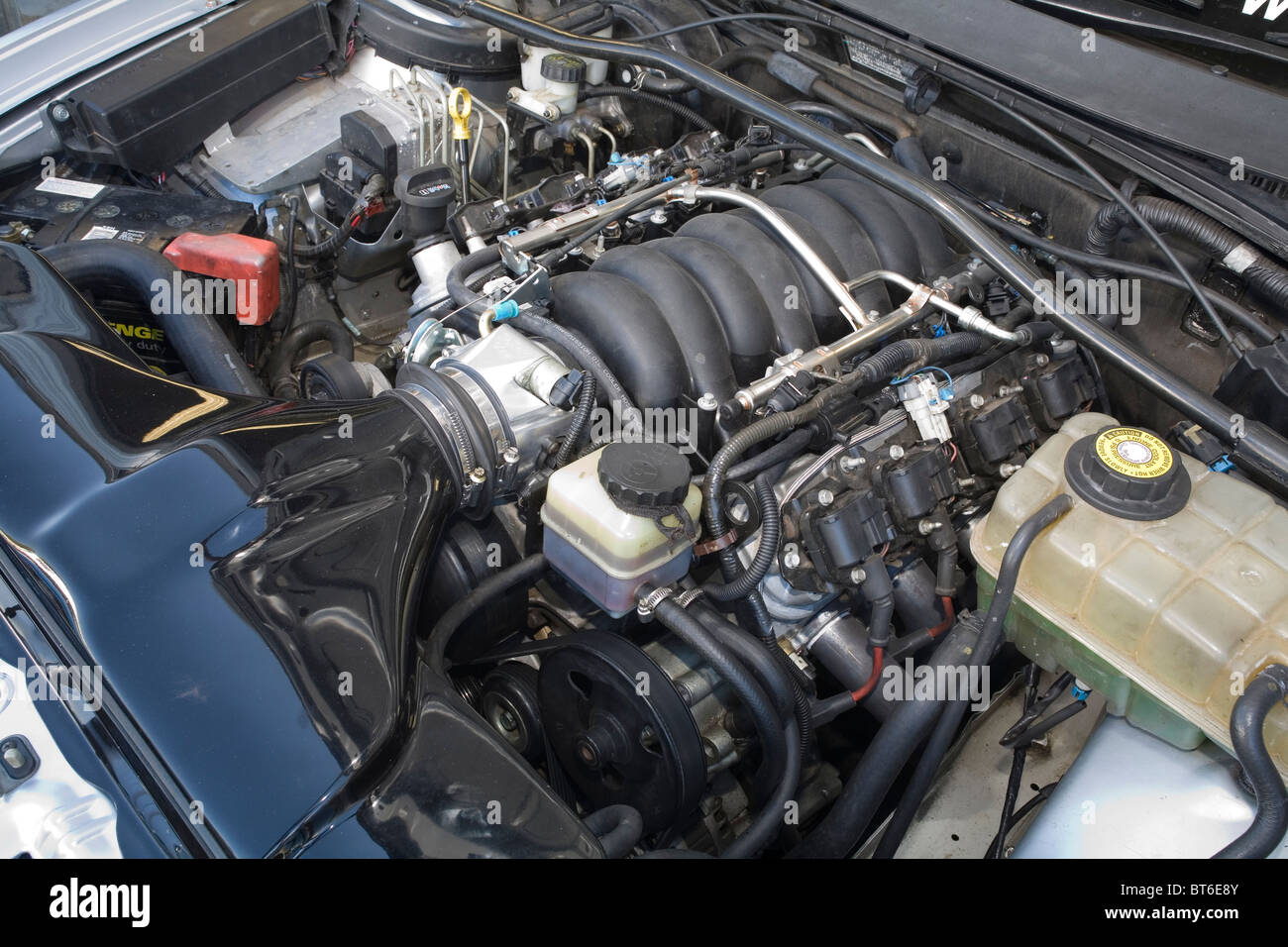 Chevrolet LS1 engine in an Australian Holden Commodore Stock Photo