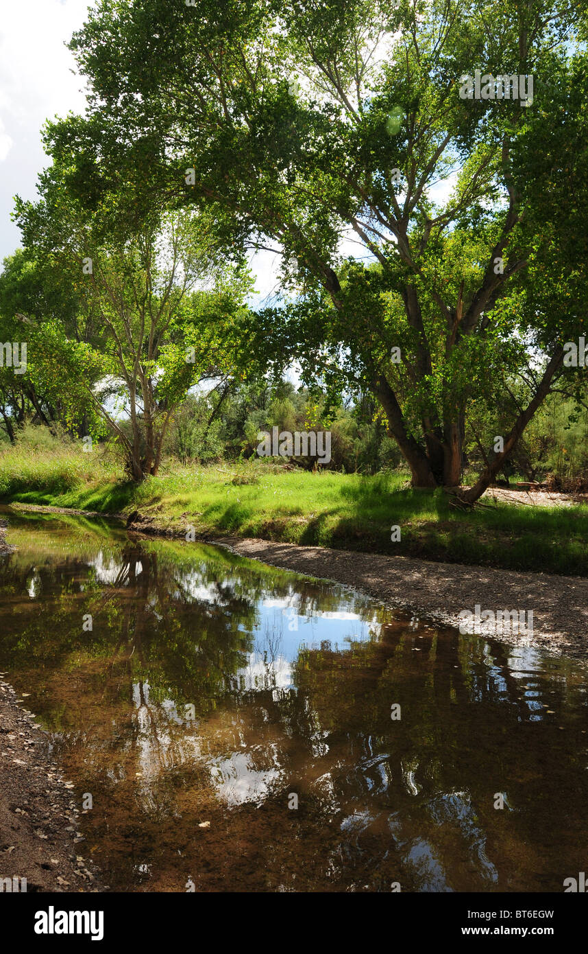 Riparian areas hi-res stock photography and images - Alamy