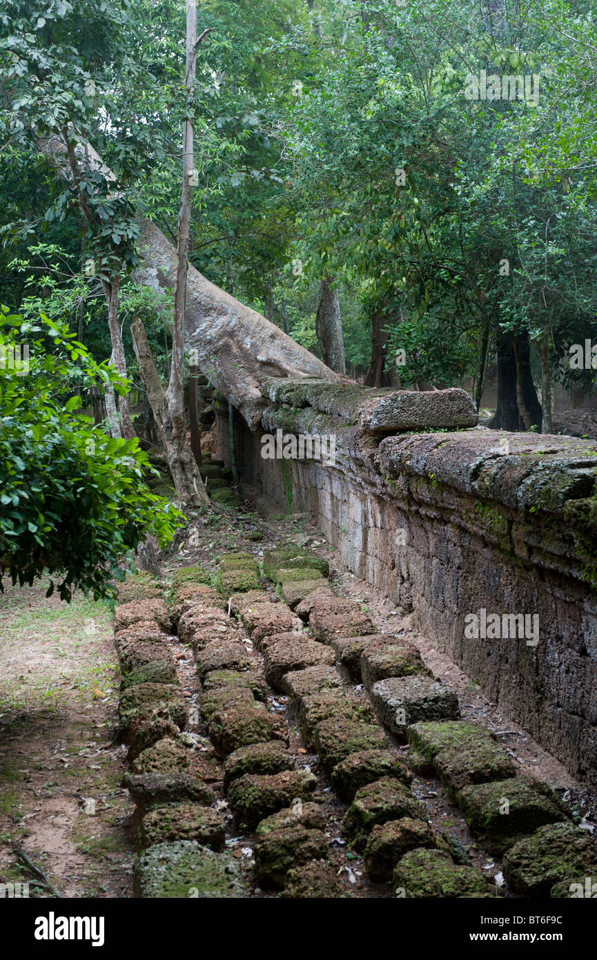 The Outer Wall Surrounding Ta Prohm Temple, Angkor Wat Cambodia Stock Photo