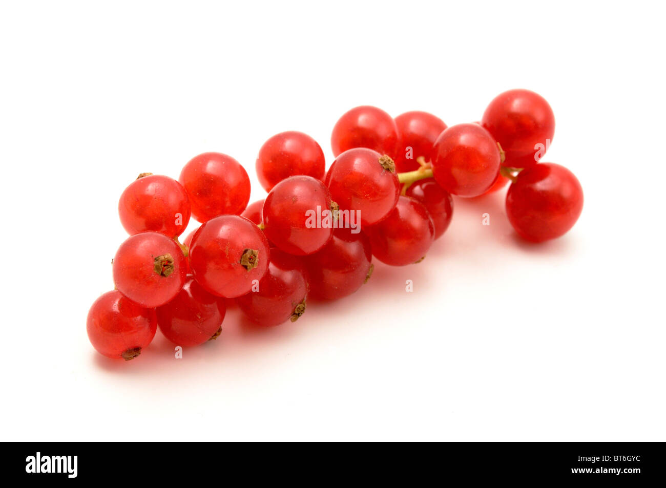 Red currant on a white background Stock Photo